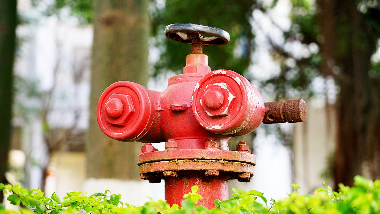 Feuerhydrant Doppelanschluss